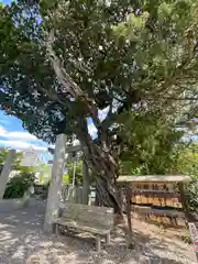 川島神社(徳島県)