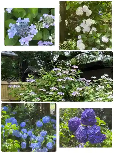 放光寺(山梨県)