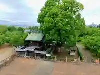 柳澤神社のその他建物