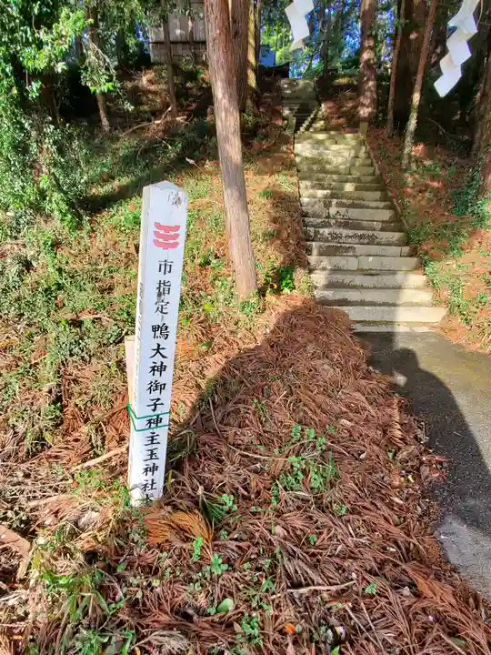 鴨大神御子神主玉神社のその他建物