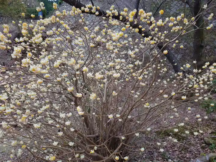 青岸渡寺(和歌山県)