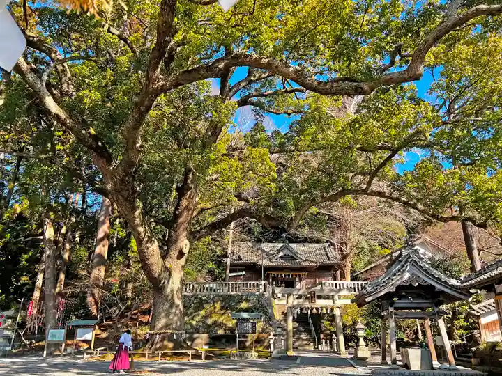 事任八幡宮の自然