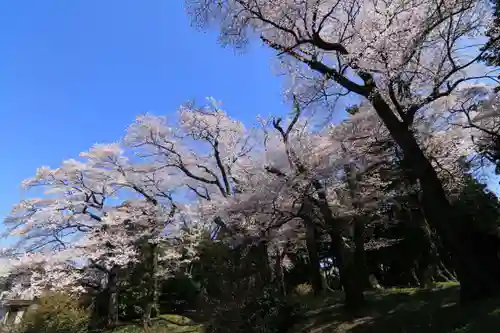 神炊館神社 ⁂奥州須賀川総鎮守⁂の庭園