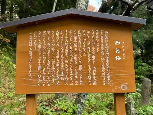 戸隠神社火之御子社(長野県)