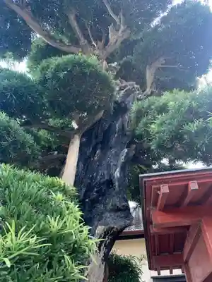 文殊院(千葉県)