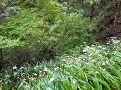 高尾山薬王院(東京都)