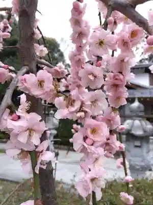 伊和志津神社(兵庫県)