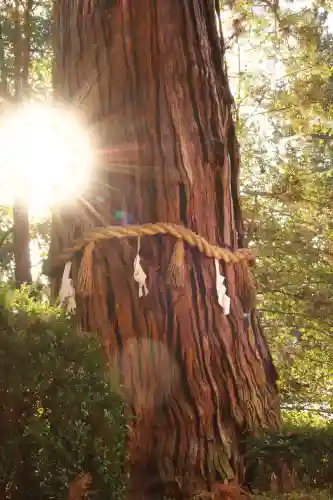 香取神宮(千葉県)