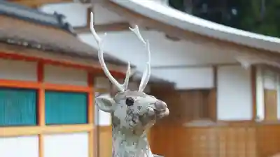 大原野神社(京都府)