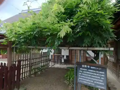 金剛寺のその他建物