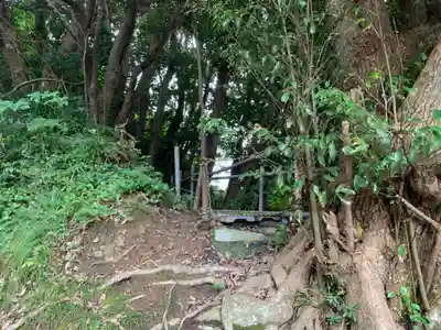 月夜見神社の自然