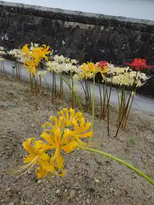 如宝寺(福島県)