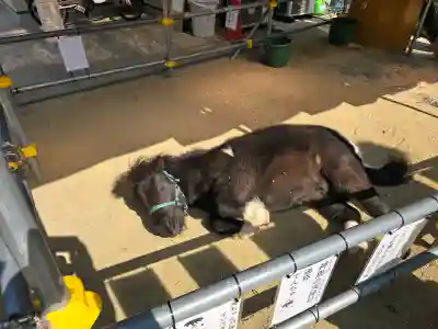 天神社の{uncategorized: "未分類", other: "その他", undefined: "問題あり", building: "その他建物", grave: "お墓", sacred_gate: "鳥居", guardian: "狛犬", statue: "像", buddha: "仏像", history: "歴史", nature: "自然", garden: "庭園", animal: "動物", pagoda: "塔", temizu: "手水舎", mountain_gate: "山門・神門", sanctuary: "本殿・本堂", subordinate: "末社・摂社", art: "芸術", scenery: "景色", jizo: "地蔵", ema: "絵馬", goshuin: "御朱印", omikuji: "おみくじ", items: "授与品その他", amulet: "お守り", goshuincho: "御朱印帳", eats: "食事", festival: "お祭り", votive_dance: "神楽", shichigosan: "七五三参", wedding: "結婚式", experience: "体験その他", initially: "初詣", around: "周辺", anti_infection: "感染症対策"}