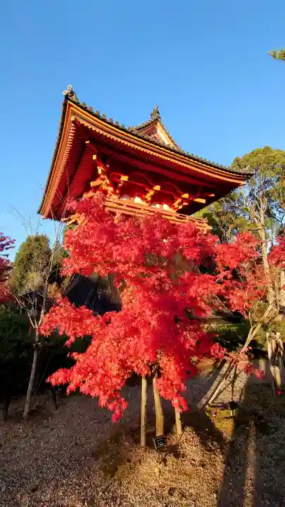 仁和寺(京都府)