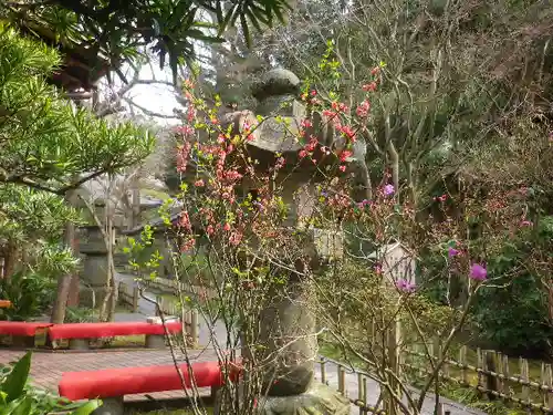 安國論寺（安国論寺）の自然