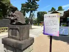 中野沼袋氷川神社(東京都)