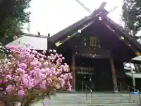 琴似神社(北海道)
