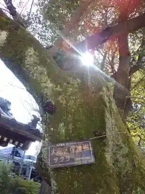 浅間神社(東京都)