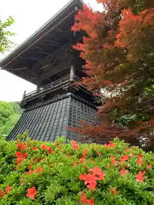 慈眼寺の塔