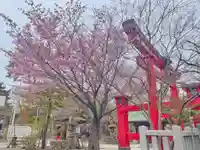 彌彦神社 (伊夜日子神社)の自然