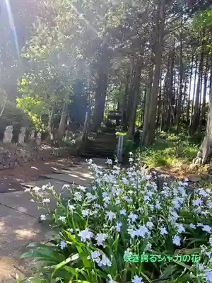 大雄寺(栃木県)