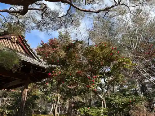 仁和寺の{uncategorized: "未分類", other: "その他", undefined: "問題あり", building: "その他建物", grave: "お墓", sacred_gate: "鳥居", guardian: "狛犬", statue: "像", buddha: "仏像", history: "歴史", nature: "自然", garden: "庭園", animal: "動物", pagoda: "塔", temizu: "手水舎", mountain_gate: "山門・神門", sanctuary: "本殿・本堂", subordinate: "末社・摂社", art: "芸術", scenery: "景色", jizo: "地蔵", ema: "絵馬", goshuin: "御朱印", omikuji: "おみくじ", items: "授与品その他", amulet: "お守り", goshuincho: "御朱印帳", eats: "食事", festival: "お祭り", votive_dance: "神楽", shichigosan: "七五三参", wedding: "結婚式", experience: "体験その他", initially: "初詣", around: "周辺", anti_infection: "感染症対策"}
