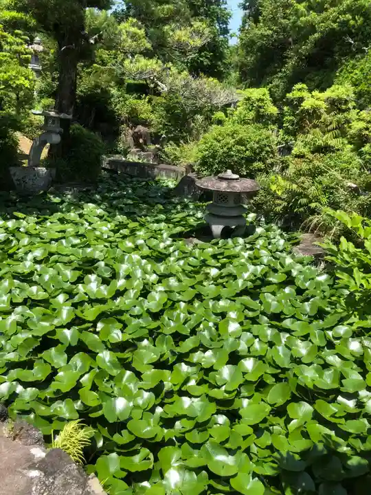 華蔵寺(愛知県)