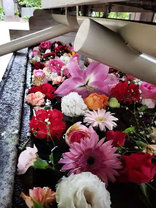 鳩森八幡神社(東京都)