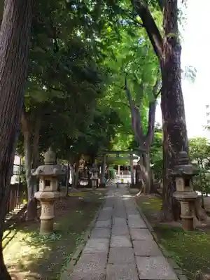 荻窪白山神社(東京都)