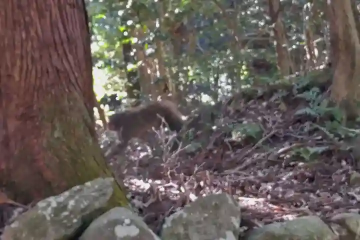 西明寺(滋賀県)