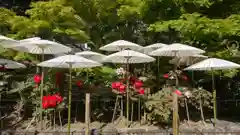 乙訓寺の庭園