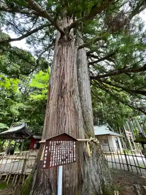 戸隠神社中社(長野県)