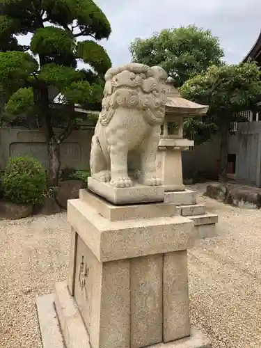 荒井神社の狛犬