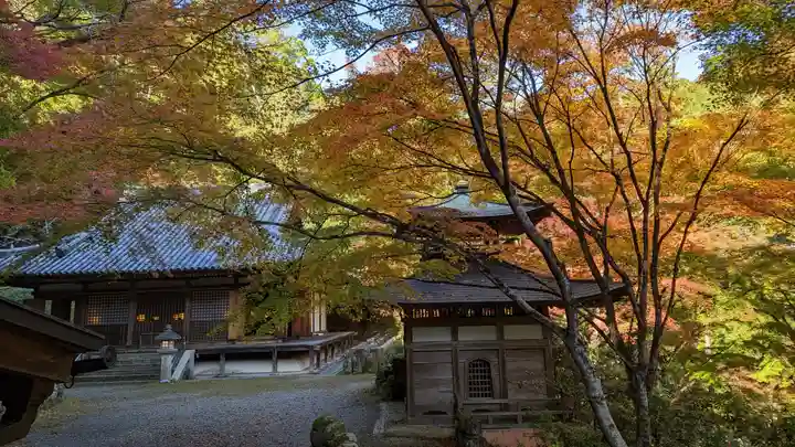 愛宕念仏寺(京都府)