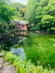 富士山本宮浅間大社の庭園