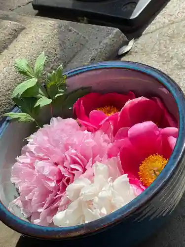 上野東照宮(東京都)