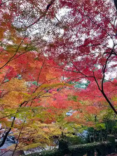 仁比山神社(佐賀県)