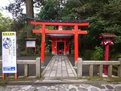 箱根神社の鳥居