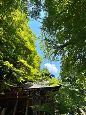 貴船神社(京都府)