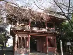 南蔵院(東京都)