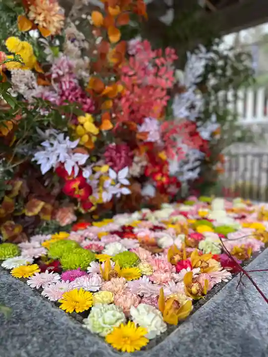 金蛇水神社(宮城県)