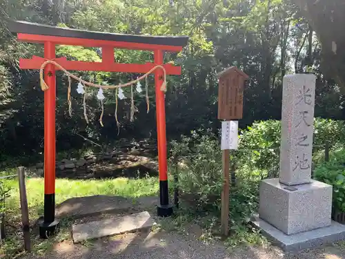 鷲宮神社の鳥居