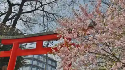 平野神社の鳥居