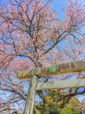 日吉社（加納）の鳥居