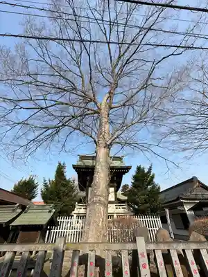 宮戸神社(埼玉県)