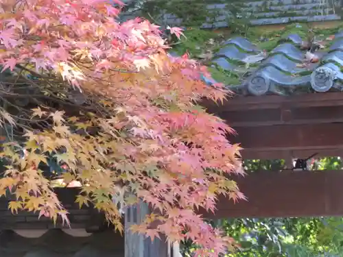 宇治上神社(京都府)