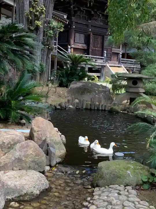楽法寺(雨引観音)(茨城県)