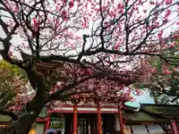 太宰府天満宮の自然