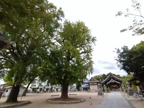寺津八幡社（寺津町）のその他建物