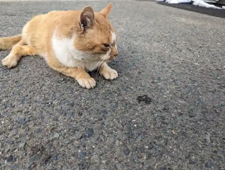 早池峯神社(岩手県)